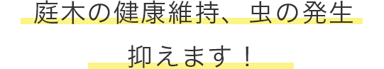 庭木の健康維持、虫の発生 抑えます！